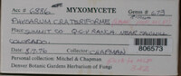 Image Associated With the Occurence